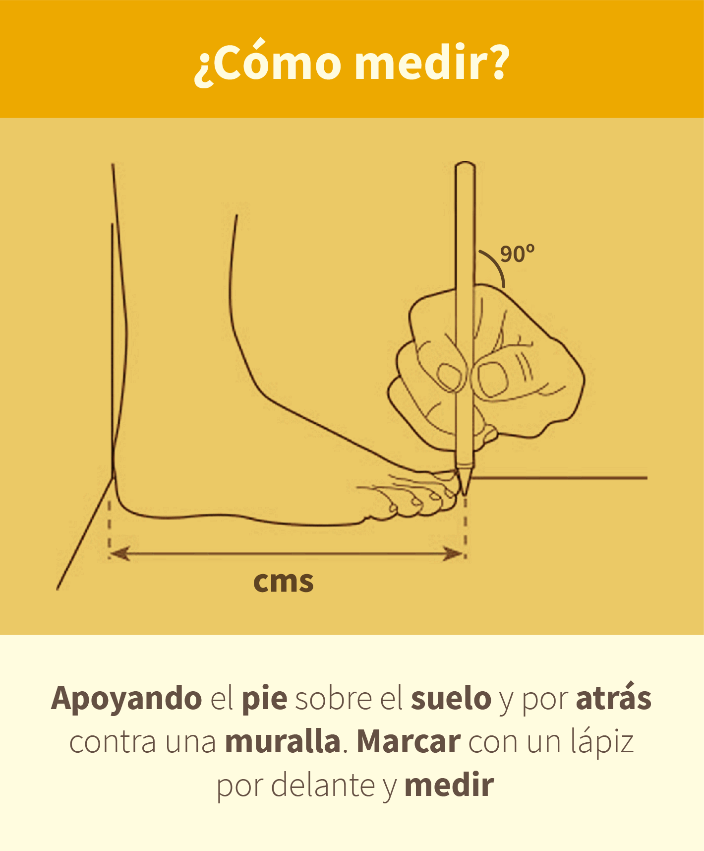 CASTOR MORA - HORMA MINIMALISTA